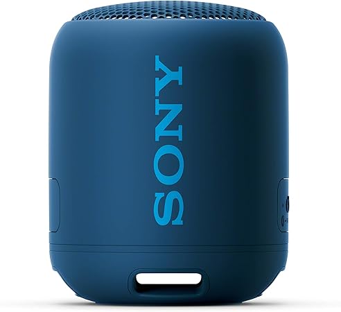 blue truth speaker price