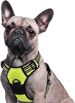 amazon uk dog car harness