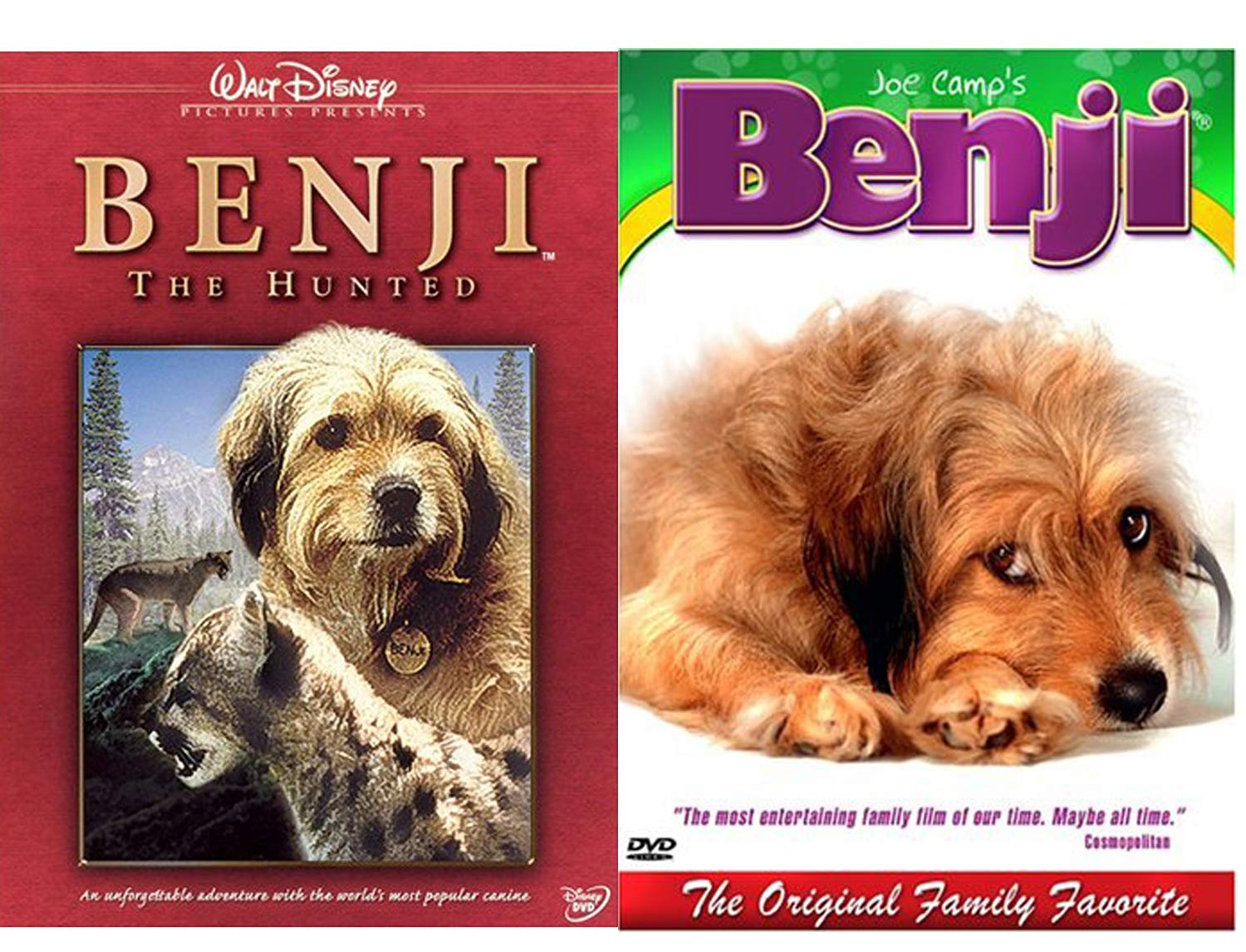 dog movie benji