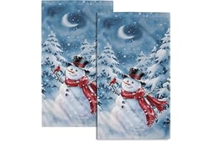 Giwawa Blue Snowman Hand Towels Set of 2 Winter Snow Bathroom Kitchen Towels Soft Absorbent Bath Fingertip Decorative Towel for Guest Gym Spa