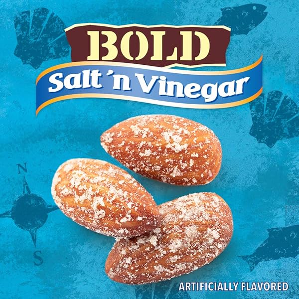 BLUE DIAMOND ALMONDS SALT N’ VINEGAR FLAVORED SNACK NUTS, RESEALABLE BAG,1.56 POUND (PACK OF 1)