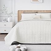 WSOFRLAC Luxury Velvet Quilt Set Queen Size, Comforter Set with Pillow Shams, Soft Lightweight Bedspread Coverlet Bedding Sets for All Seasons, Beige