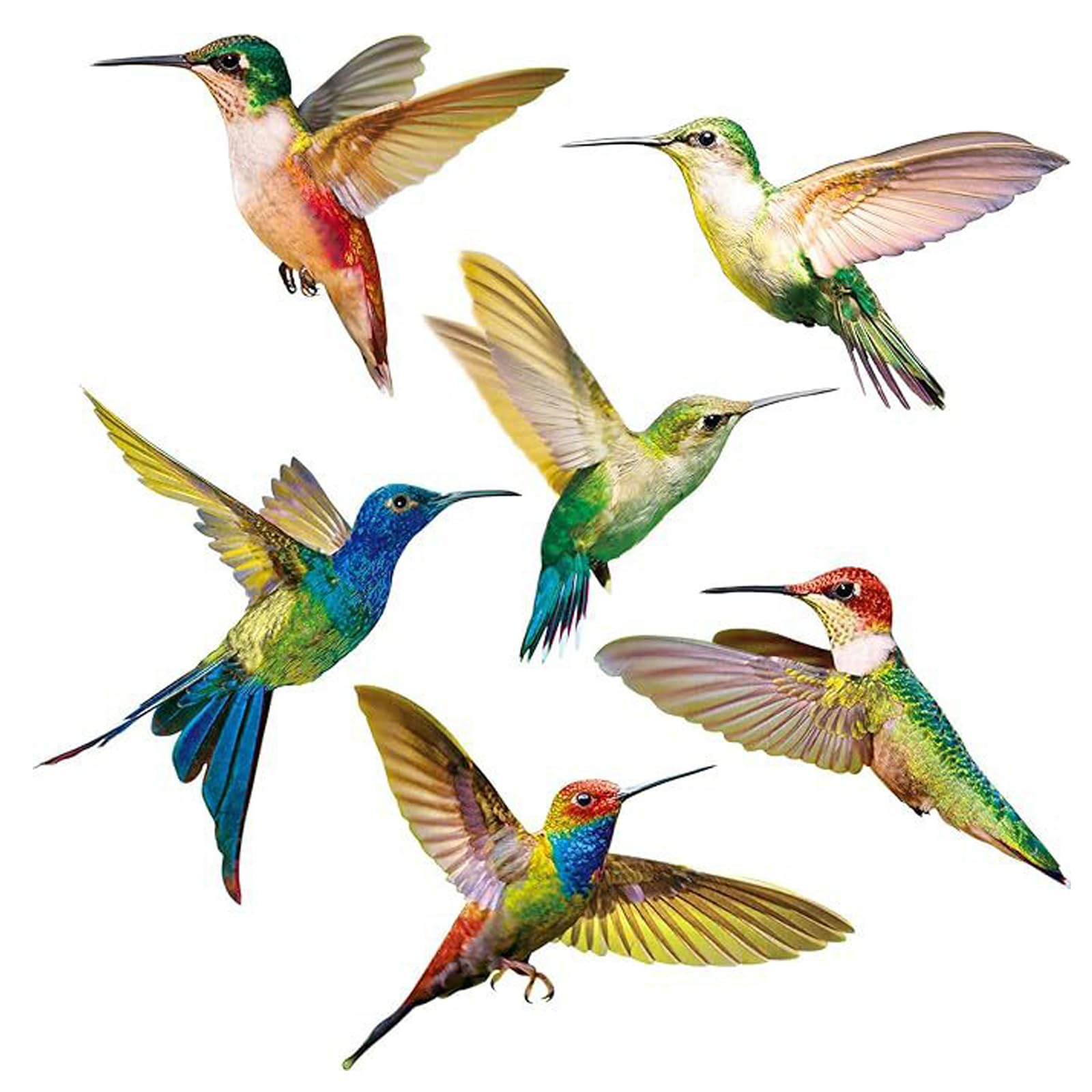 6 Mixed Beautiful Bird Window Stickers, Hummingbird Wall Stickers Decor, Anti Collision Glass Window Doors Clings, Unique Double Sided Print, DIY Decal for Bedroom, Window, Kitchen Living Room