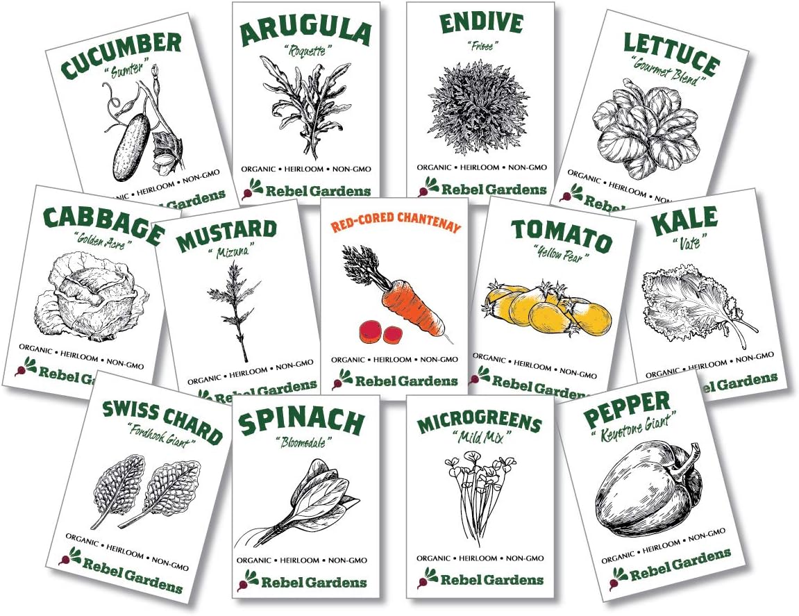 Organic Salad Garden - Heirloom Non-GMO Vegetable Seeds - 13 Varieties for Kitchen Gardening - Lettuce Kale Carrots Tomato Cucumber and More