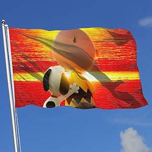 Amazon.com : Criss Snoopy and Charlie Brown Decorative Home Yard Garden