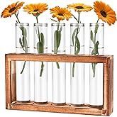 Tigvio Desktop Glass Plant Propagation Station with 5 Test Tubes in Wooden Stand - Hydroponic Plants Cutting Office Home Decoration and Garden Decor Terrarium (5 Tubes)