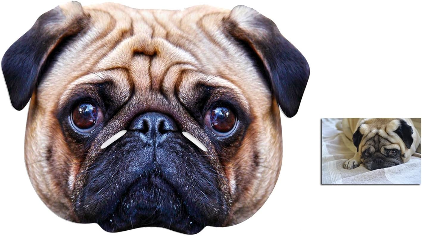 Mask Pack Pug Dog Animal Party Mask includes 6x4 inch (15cm x 10cm
