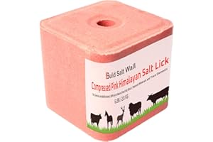 FLEXWAVE Compressed Pink Himalayan Salt Lick 6 lbs 100% Natural and Pure Feed Salt Block That Contains Trace Elements and Natural Minerals