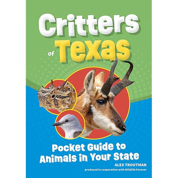 Bug Of Texas: Identification Log Book for Insect Enthusiasts