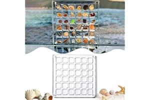 YOUSHEME Acrylic Magnetic Seashell Display Box,Seashell Storage Box Display Case Decorative Seashell Starfish Trinket,Seashell Holder Display Box,Small Craft Organizers Container for Bead, Nail, Jewelry(36 )
