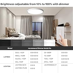 TALOYA Dimmable Flush Mount Ceiling
