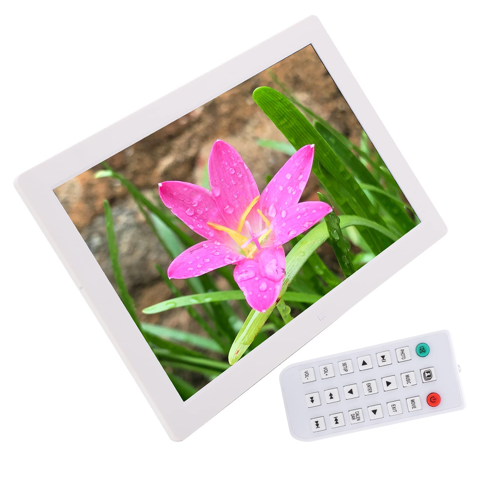 17in Digital Picture Frame Large Digital Picture Frame