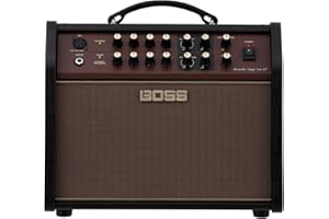 BOSS Acoustic Singer Live LT Acoustic Stage Guitar Amplifier (ACS-LIVELT)
