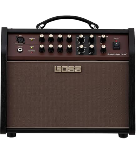 Amazon.com: Boss Acoustic Singer Pro 120-Watt Bi-Amp Acoustic
