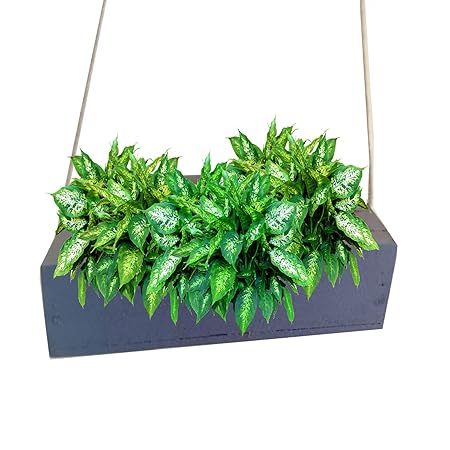 LIVEONCE Wood Box Planter Hanging -Color-Grey