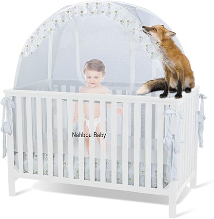cot safety net