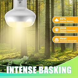 REPTI HOME Reptile Heat Lamp 2Pack 100W, Intense