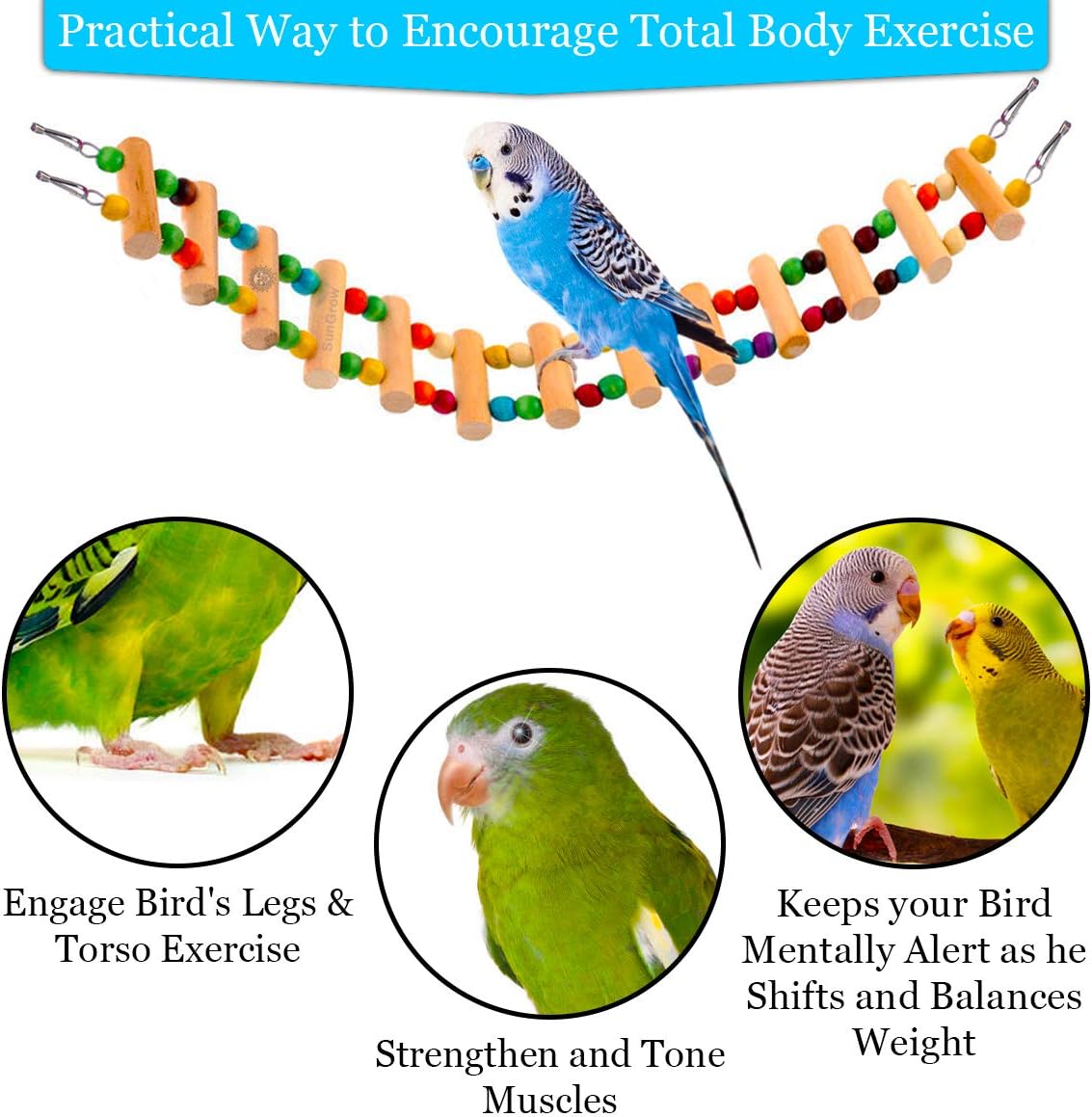 SunGrow Bird Ladder Bridge, 20 Inches Long, Helps Birds with Balance, Made with Raw Wood and Edible Dye, Easy Installation, Bright, Durable and Flexible, Suitable for Small to Medium Birds, 1 Piece : Pet Supplies