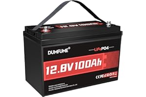 Dumfume 12V 100Ah LiFePO4 Lithium Battery Built-in 100A BMS, Group 31 Rechargeable Battery 6000+ Cycles 1280Wh Perfect for RVs MotorHomes, Camper, Solar System, and Off-Grid
