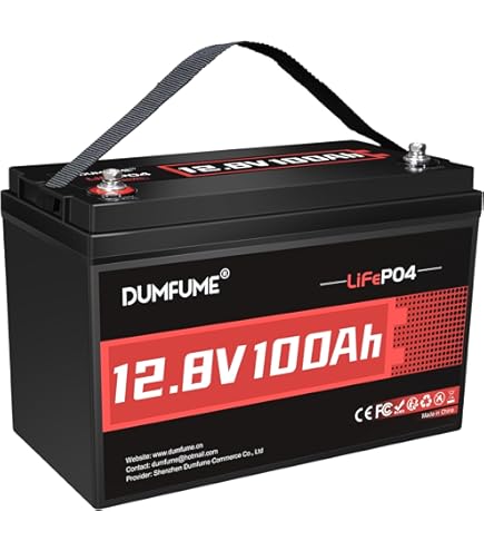 Amazon.com: 12V 100Ah LiFePO4 Lithium Battery, Built-in 100A BMS