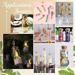 CRASPIRE 18Pcs 9 Size Small Glass Bottles with Cork