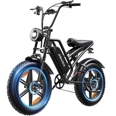 RPINT Electric Mountain Bike for Adults with 1500W Peak Motor, 20" Fat Tire Dirt E Bike for All-Terrain, 28MPH and 40-60 Miles PAS Range, Electric Bicycles with 48V 15Ah Removable Battery