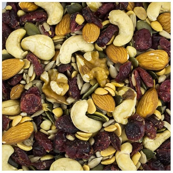 CARB FRIENDLY HEALTH MIX | PREMIUM QUALITY | BULK VALUE SIZE 32 OZ. (WITH CRANBERRIES, SUNFLOWER SEEDS, PUMPKIN SEEDS, ALMONDS, CASHEWS, SOYNUTS AND WALNUTS) (2 LB.)