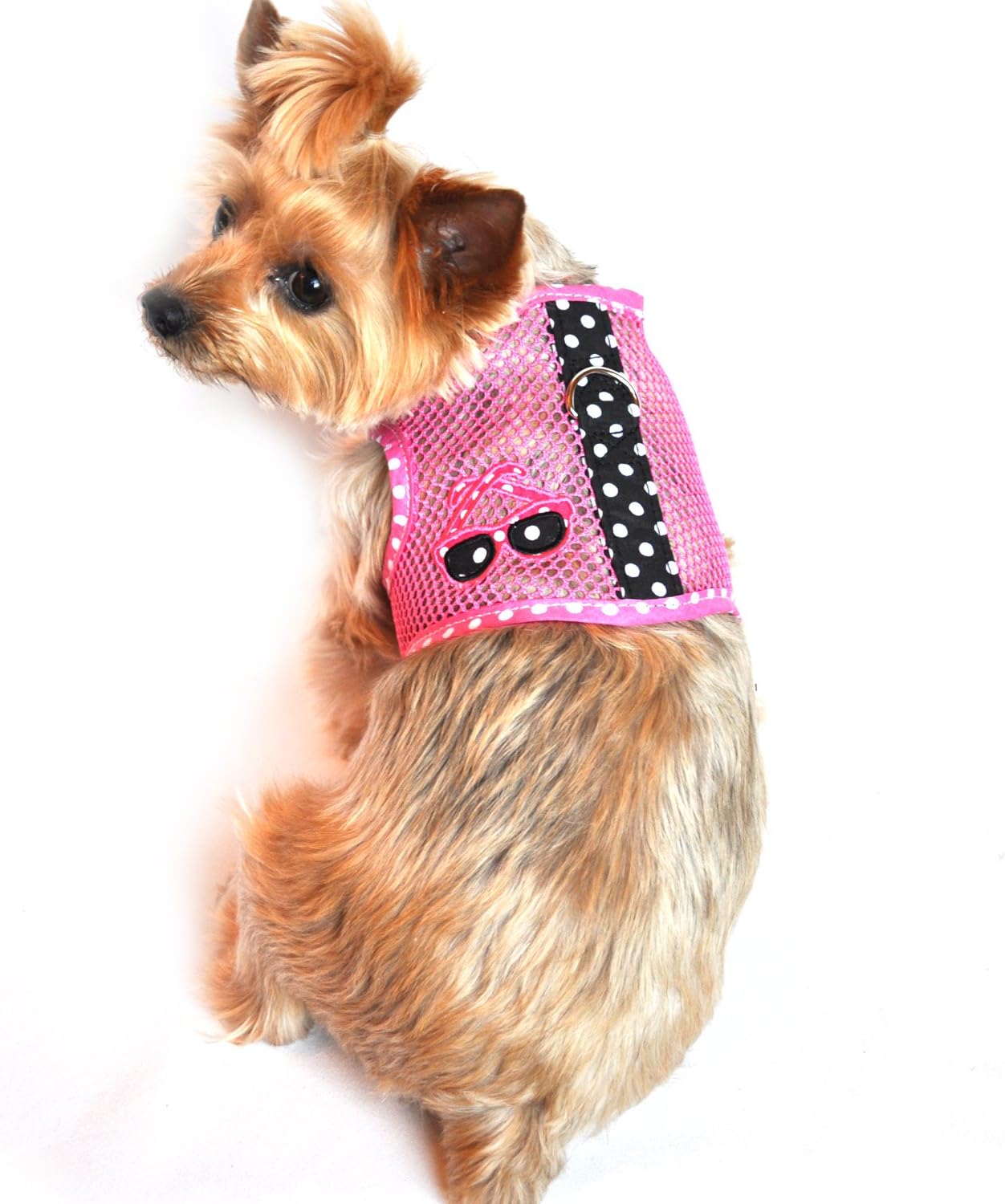 sedum poisonous to dogs