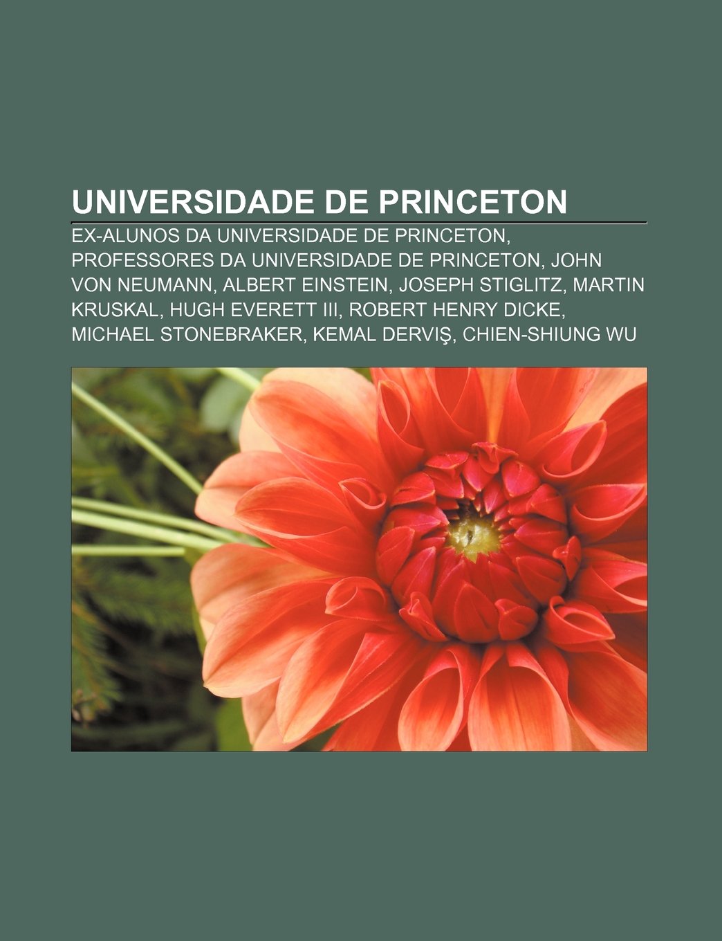 Universidade de Princeton ExAlunos Da Universidade de Princeton, Professores Da Universidade