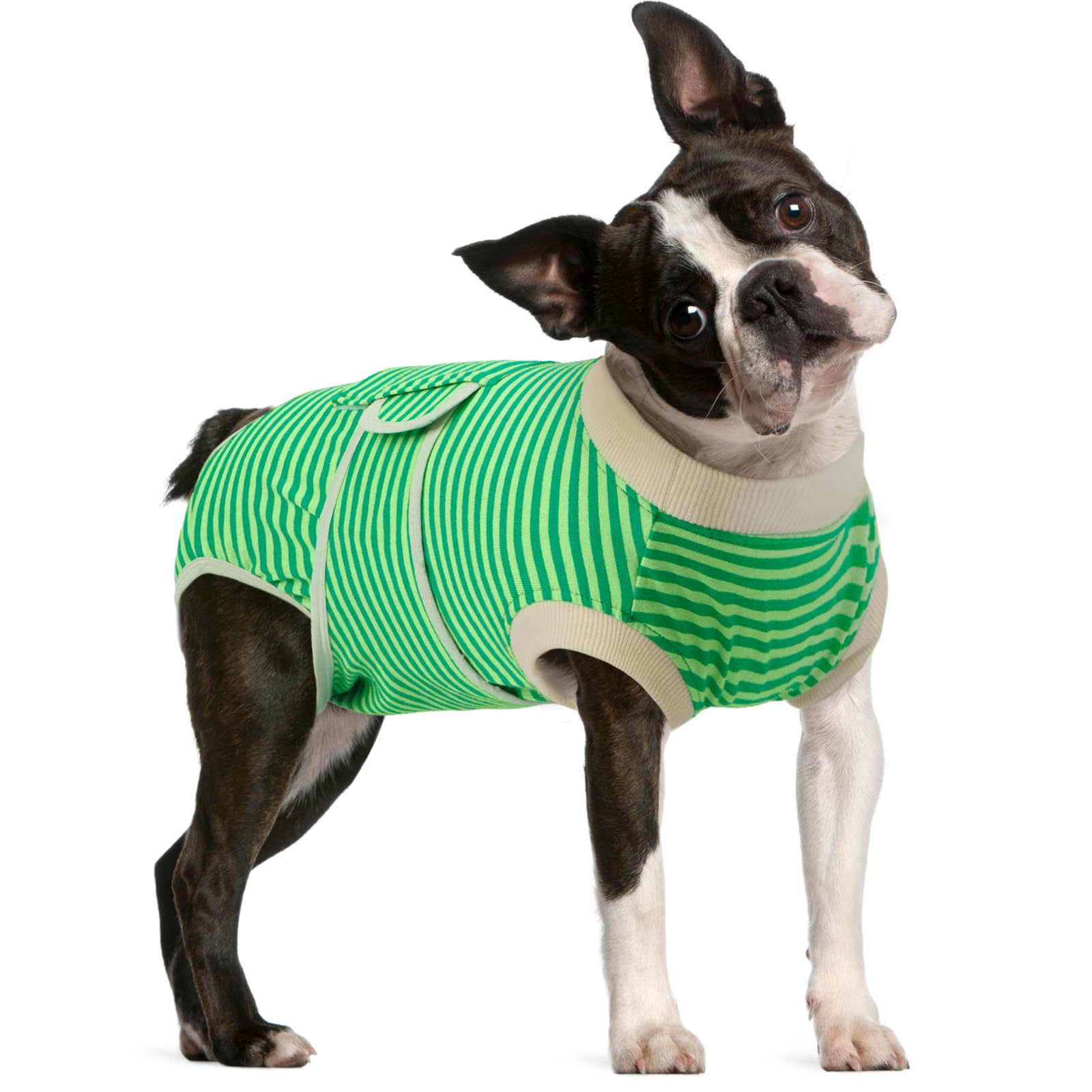 Photo 1 of FUAMEY Dog Recovery Suit Male,Dogs Surgery Neuter Suits Puppy Spay Shirts for Female Protect Dog's Skin Anti Licking Abdominal Wounds Doggie Onesie Pet Bodysuit Alternative to Cone Green Stripes M