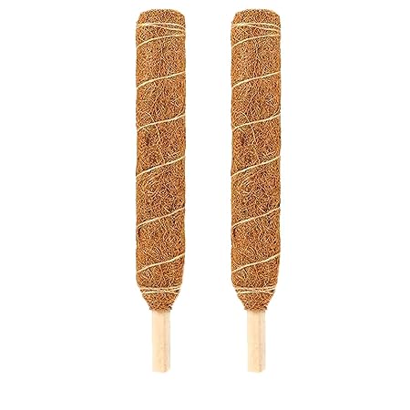 LIVEONCE Coco Pole -Moss and Coir Stick for Indoor, House and Plant Creepers Support 2 FEET -Pack of 2 -Color -Natural