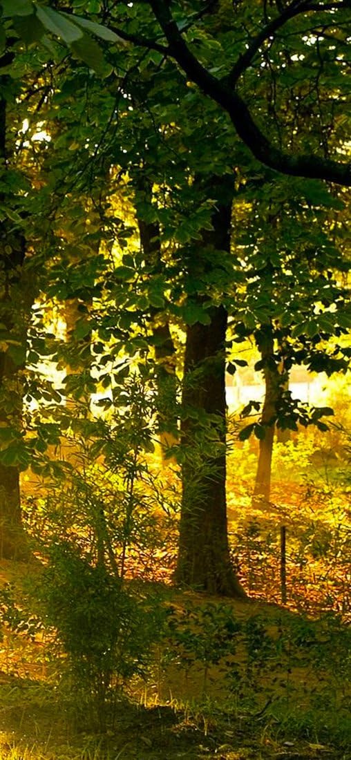 PeelitStickit ID-1756 60 Width x 130 cm Height Beautiful Nature Vinyl Wall Mural, Multi-colour