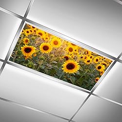 Drop Ceiling Light Covering Insert 4' x 2' feet