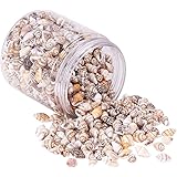 PH PandaHall 200g 2 Styles Tiny Sea Shell Ocean Beach Spiral Seashells Craft Charms for Candle Making Home Decoration Beach Theme Party Wedding Decor Fish Tank and Vase Filler(1mm/1.2mm Hole)