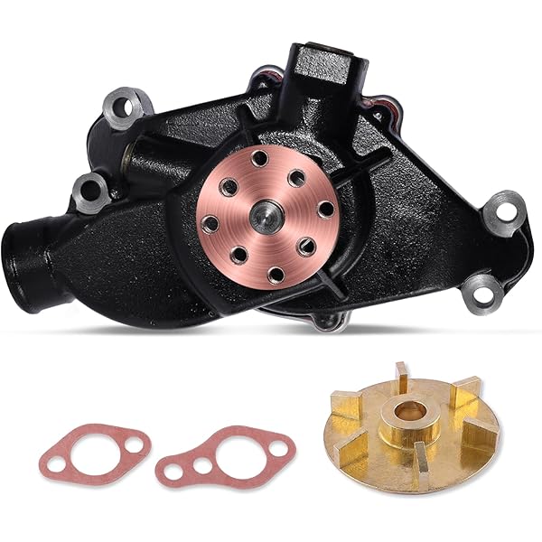 Amazon.com: AULINK Sea Water Pump (Original Bronze Impeller,C&U  