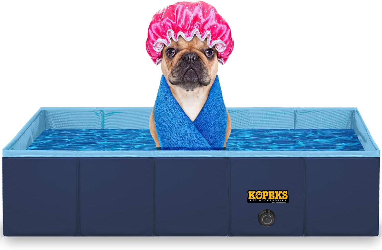 difference between pitbull and amstaff