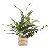 Ainuowei Fake Plants Greenery Decor 12.8 inches Artificial Plants Realistic Silk Eucalyptus Faux Plants with Round Concrete Planter Lifelike Plants for Office Kitchen Farmhouse Indoor Outdoor