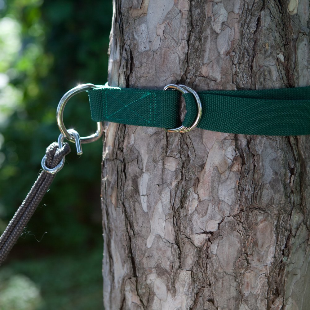 Best tree saver strap for hammock