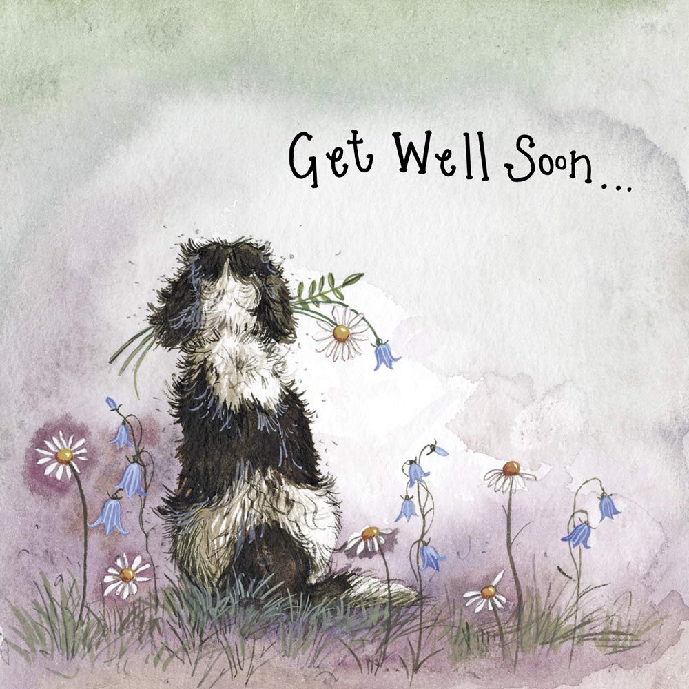 ALEX CLARK Get Well Soon Spaniel Dog Foil Card - Canine - Floral - Nature - Plants - Sympathy Card - Well Wishes Card - Designed and Printed in the UK…