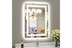 BRIIVUE 20"x28" LED Bathroom Mirror with Lights, Backlit & Front Lit, Lighted Wall Mirrors for Bathroom Vanity, Touch Screen Dimmable, Anti-Fog, Memory Function, HD Tempered Glass, Shatter-Proof, ETL Listed