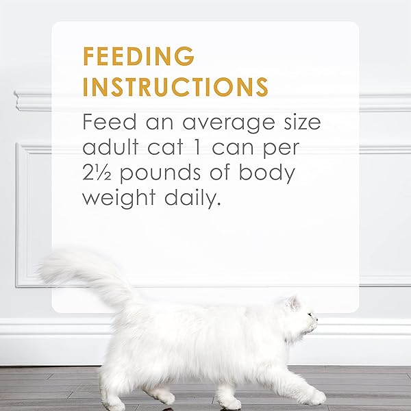 PURINA FANCY FEAST GRILLED WET CAT FOOD CHICKEN AND BEEF IN WET CAT FOOD GRAVY – (PACK OF 24) 3 OZ. CANS