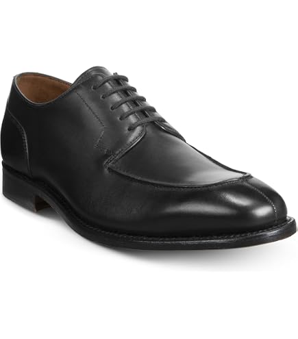Amazon.com | Allen Edmonds Men's McAllister Shoe, Dark Chili