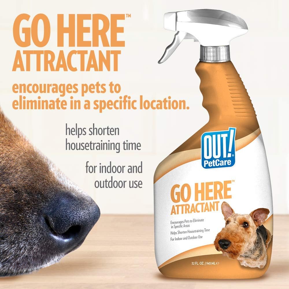 go here attractant