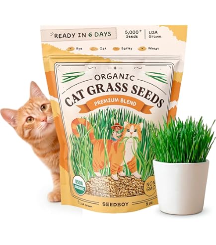 Amazon.com : Cat Grass Seeds for Planting - 5 Pounds - Nutritious