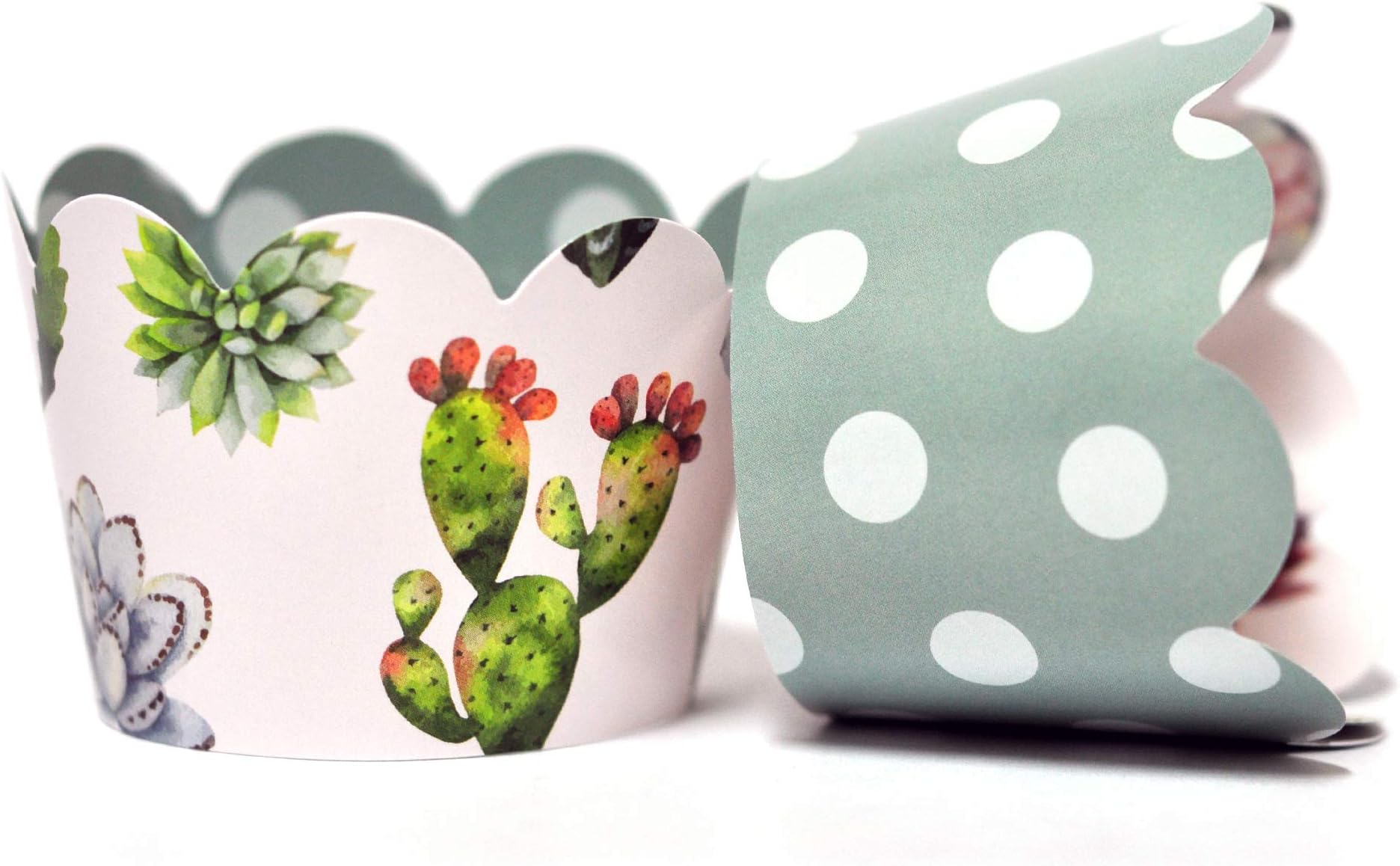 Cactus and Succulent Cupcake Wrappers for Kids Birthday Parties, Baby Showers, Bridal Showers, and Weddings. Set of 24 Reversible Boho Styled Watercolor Pattern to Polka Dot Cup Cake Holder Wraps