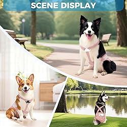 Washable Female Dog Diaper with Suspender - 3 Pack