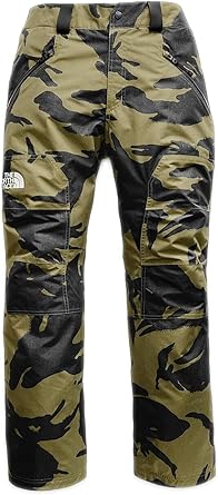 the north face men's straight six pant