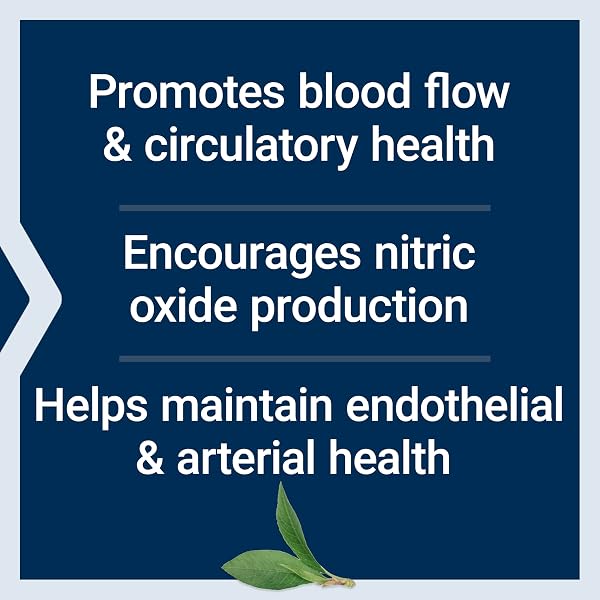 LIFE EXTENSION NITROVASC™ BOOST, BLOOD FLOW SUPPLEMENT, NITRIC OXIDE SUPPORT, HEART HEALTH, CARDIOVASCULAR SUPPORT, L-ARGININE, GLUTEN-FREE, NON-GMO, VEGETARIAN, 1 SCOOP, 30 SERVINGS