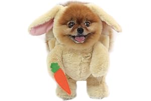 Pandaloon Dog Halloween Costume - As Seen on Shark Tank - Patented - Funny Costume with Arms for Small and Medium Dogs and Cats (Bunny, Size 1(13-14 in Height at TOP of Head,Girth<16 in))