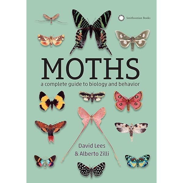 メル60452　Encyclopedia of Butterflies The World Encyclopedia of Butterflies & Moths: A Natural History